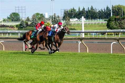 tricast odds calculator|Tricast Calculator Calculate Tricast Bets & Odds.